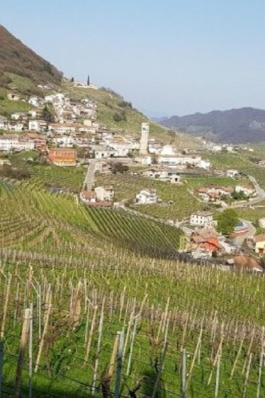 Valdobbiadene.jpg
